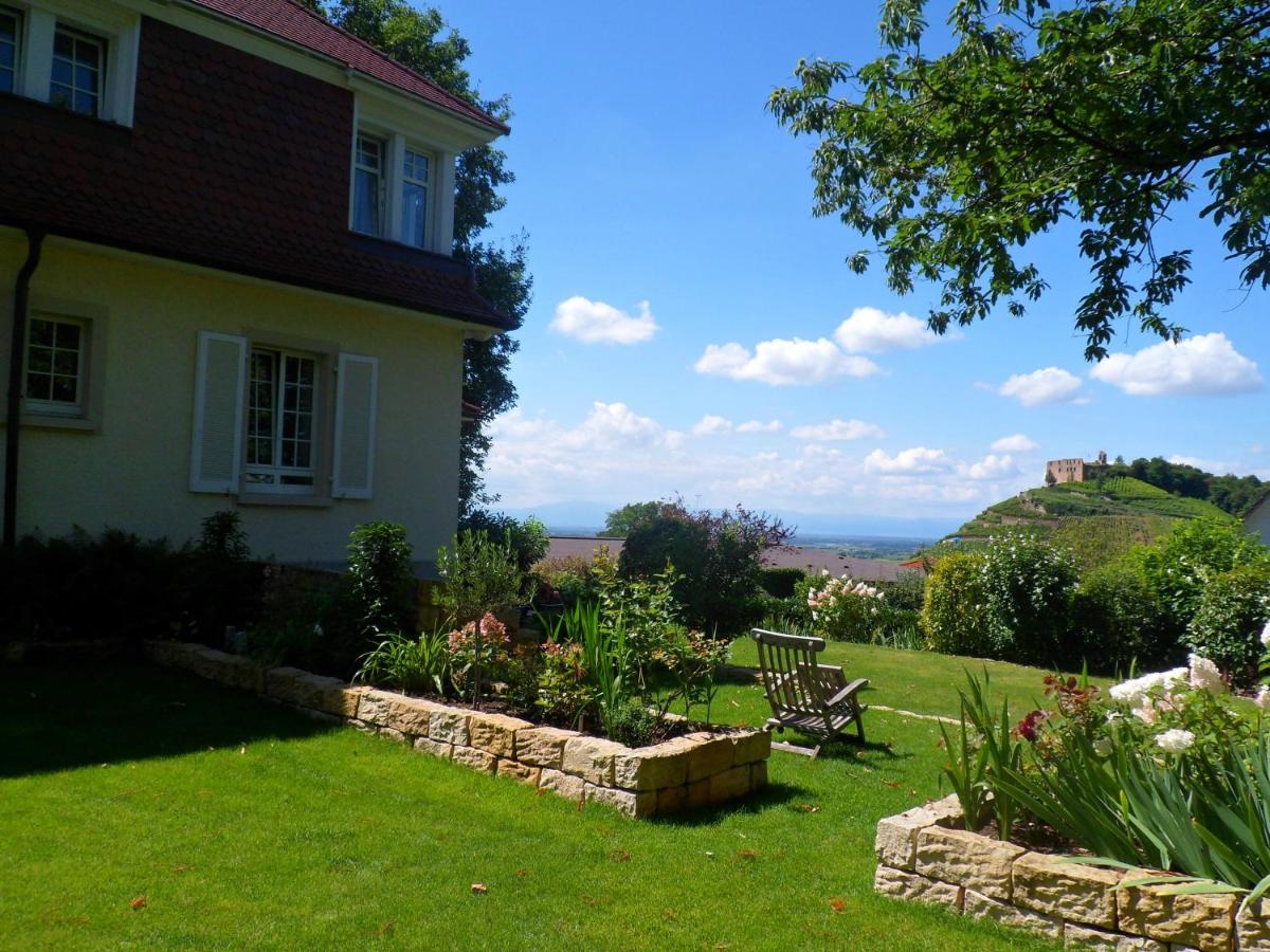 Villa Burgblick - luxury BnB Staufen im Breisgau Exterior foto
